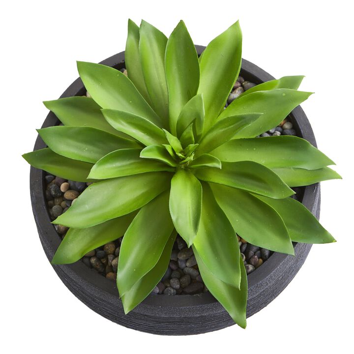 Hivvago Large Succulent Artificial Plant in Decorative Bowl