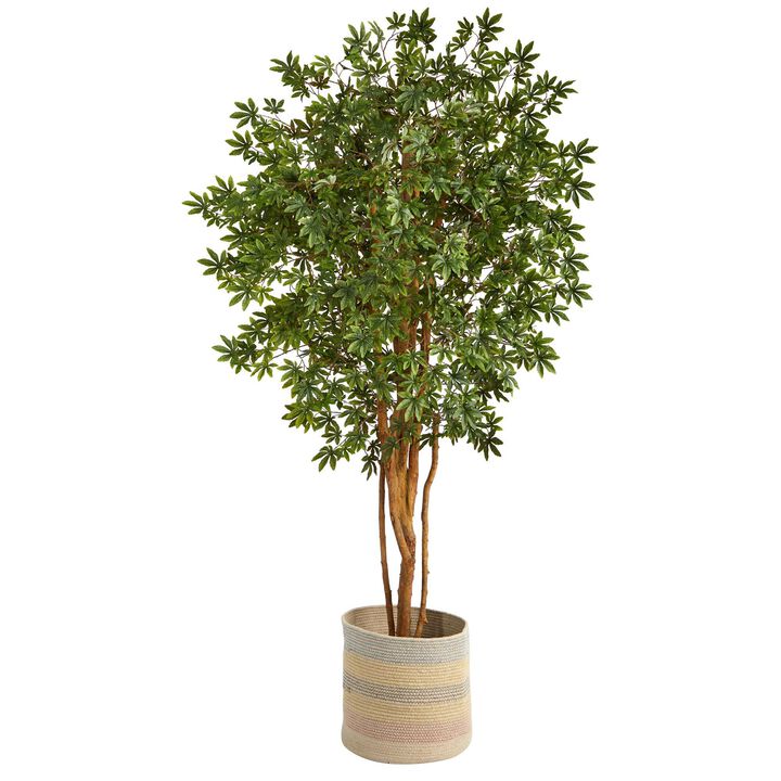 Nearly Natural 6-ft Japanese Maple Tree in Handmade Natural Cotton Planter