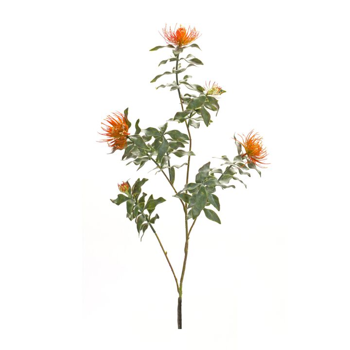 Flocked Protea Spray for Winter and Holiday Décor (Set of 6)