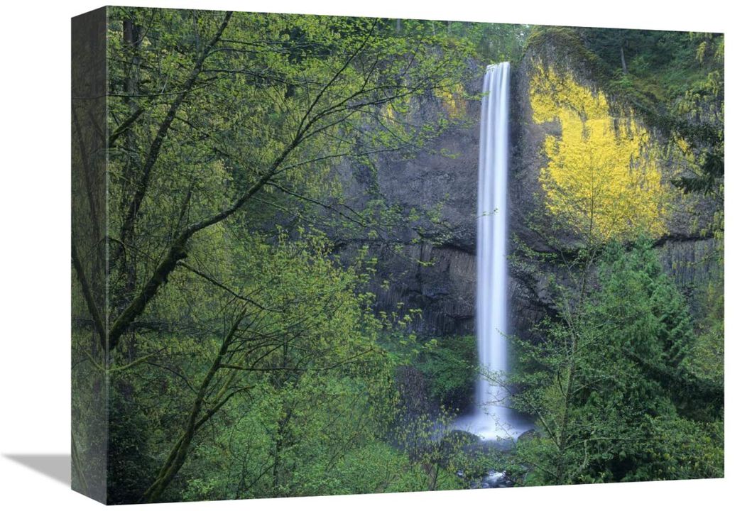Latourell Falls, Columbia River Gorge near Portland, Oregon-Canvas Art-16x12