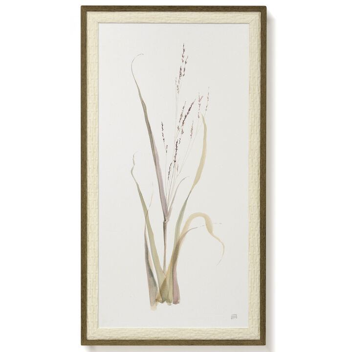 Moor Grass