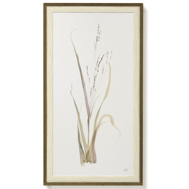 Moor Grass