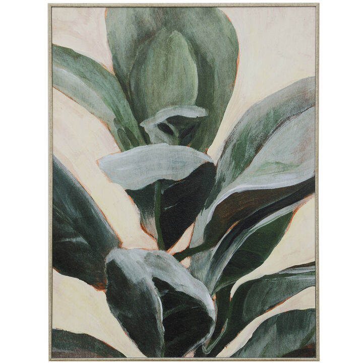 Plant Study II Framed Print
