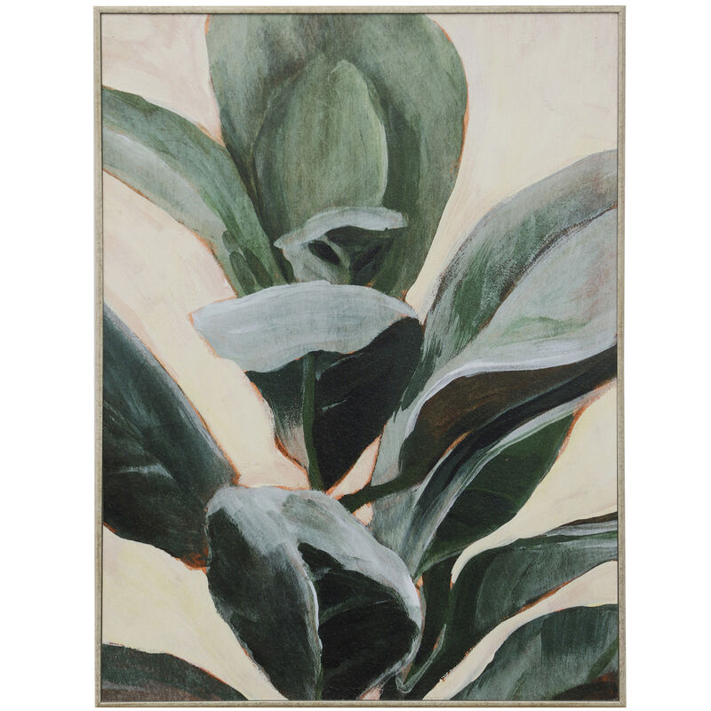 Plant Study II Framed Print