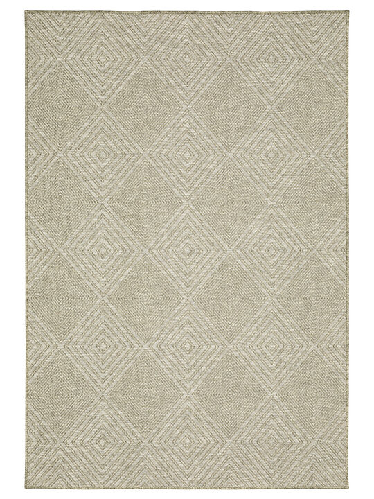 Tortuga 3'3" x 5' Beige Rug