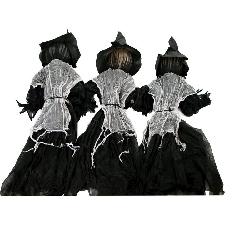 Haunted Hill Farm 42 Witch Stake Lights
