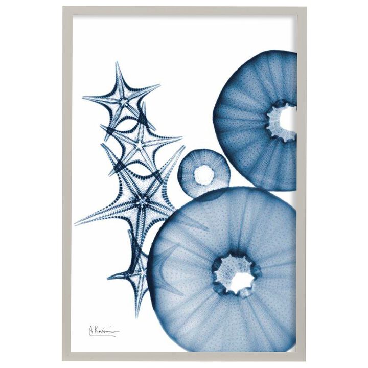 Blue Coastal II Framed Print