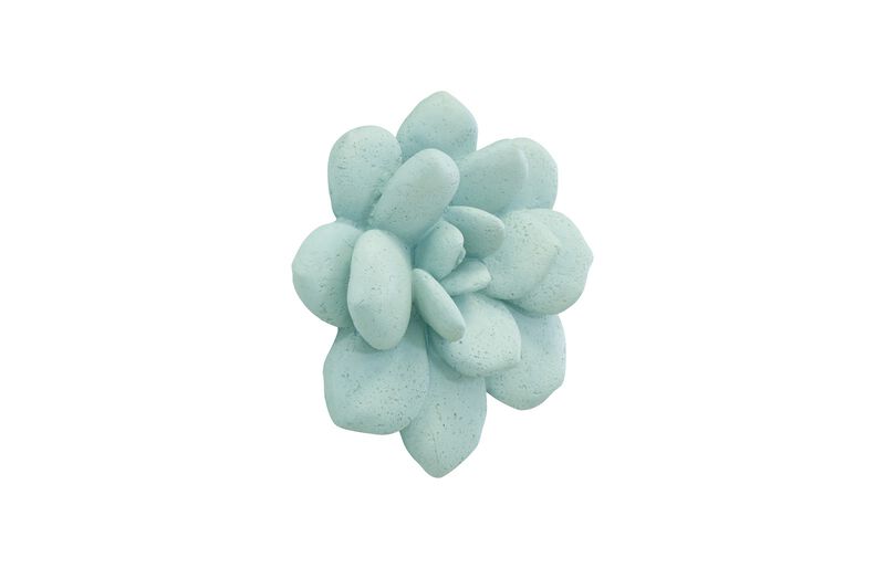 Laui Succulent Wall Art in Sage