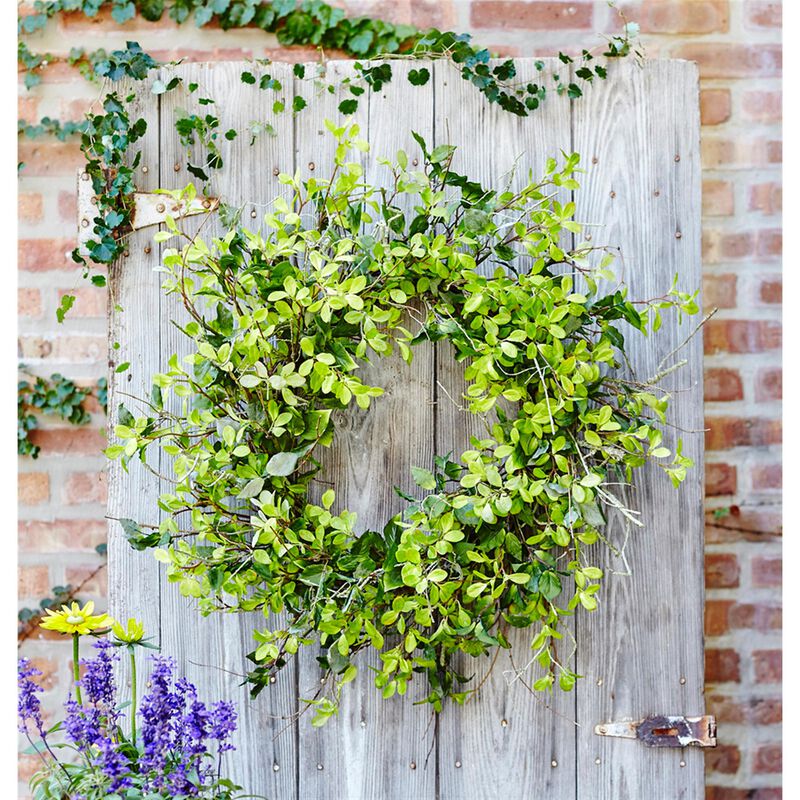 Large Mixed Foliage Wreath for Front Door or Home Décor