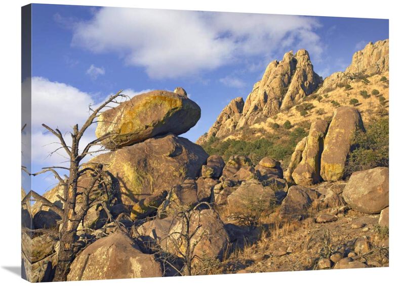 Rockpile, Davis Mountains, Chihuahuan Desert, Texas-Canvas Art-32x24
