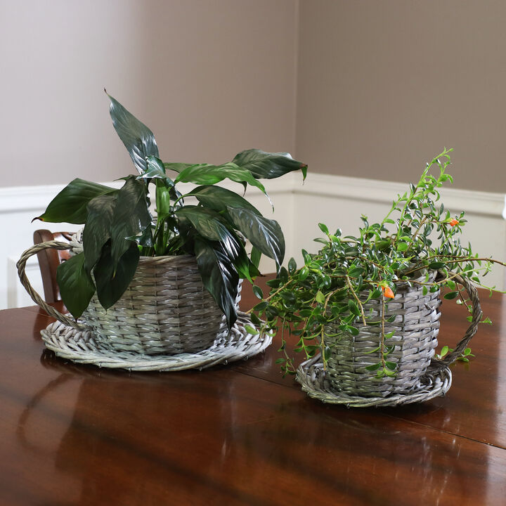 Sunnydaze Rattan Wicker Coffee Cup/Teacup Shape Planters - Set of 2