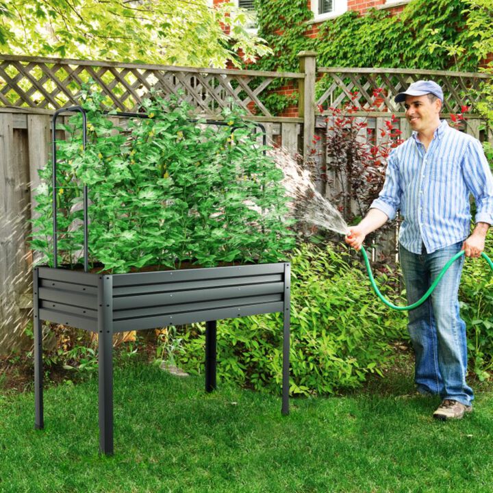 Hivvago 3-in-1 Raised Garden Bed with Greenhouse Cover and Trellis