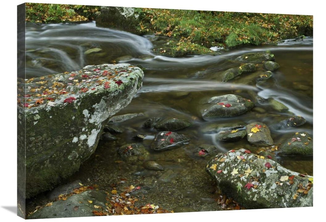 Laurel Creek, Great Smoky Mountains National Park, Tennessee-Canvas Art-32x24