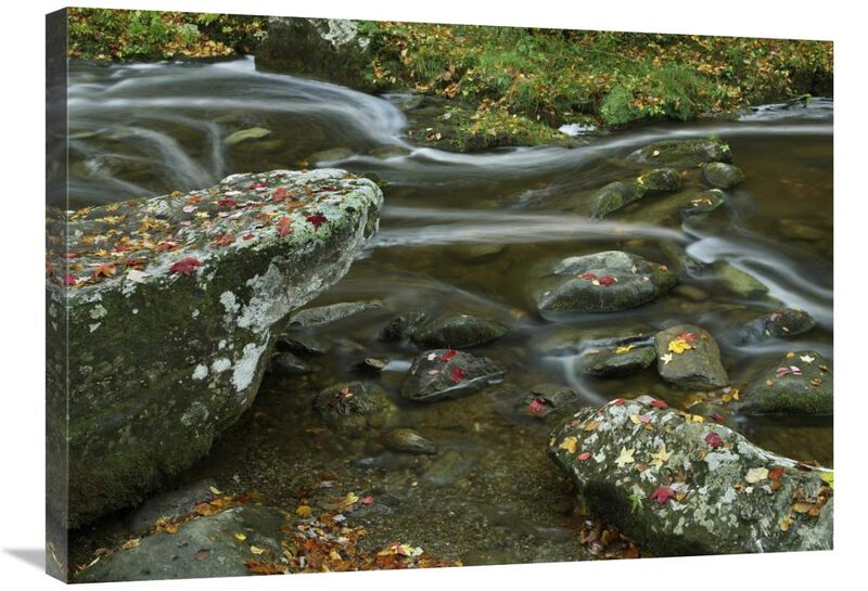 Laurel Creek, Great Smoky Mountains National Park, Tennessee-Canvas Art-32x24