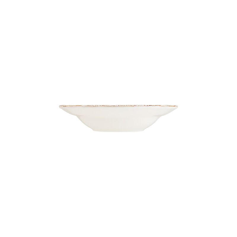 Patera dia.10.75" h:2.25" 16 oz. Round Decorated Porcelain Bowl (Set of 2)