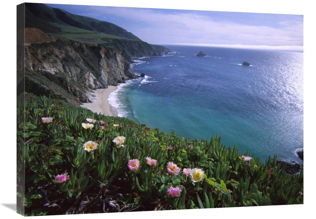 Ice Plant or Hottentot Fig Big Sur coast near Bixby Creek, California-Canvas Art-32x24