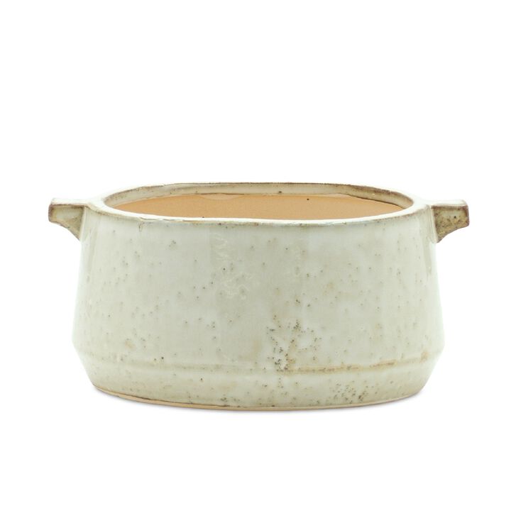 Charming Bowl Planter for Stylish Indoor and Outdoor Plant Display