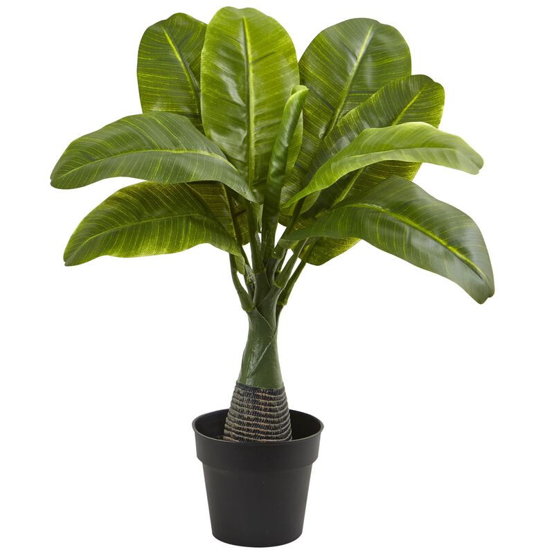 Hivvago Areca, Fountain & Banana Palm (Set of 3)
