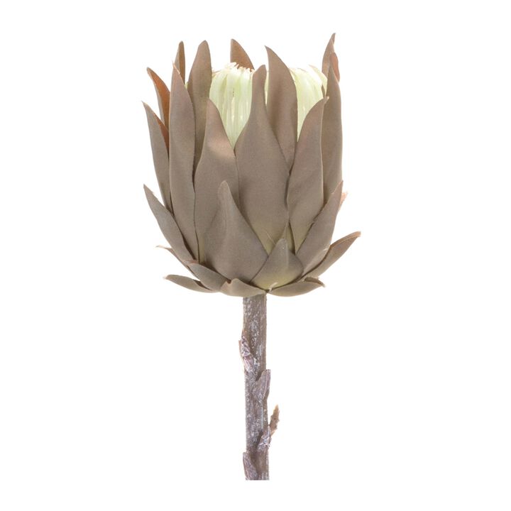 Set of 6 Stunning Exotic Protea Stems Bold Artificial Blooms for Unique Floral Arrangements