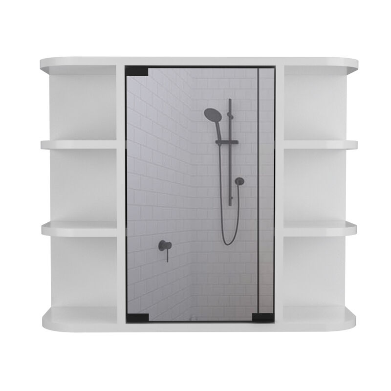 Roseburg 6-Shelf Medicine Cabinet With Mirror