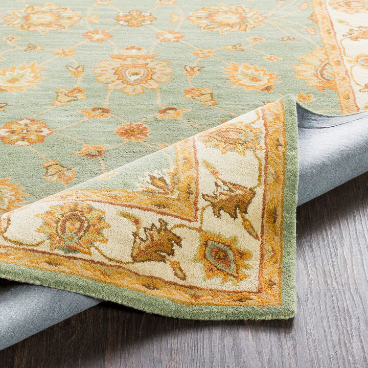 Middleton AWHR-2058 6' x 9' Green Rug