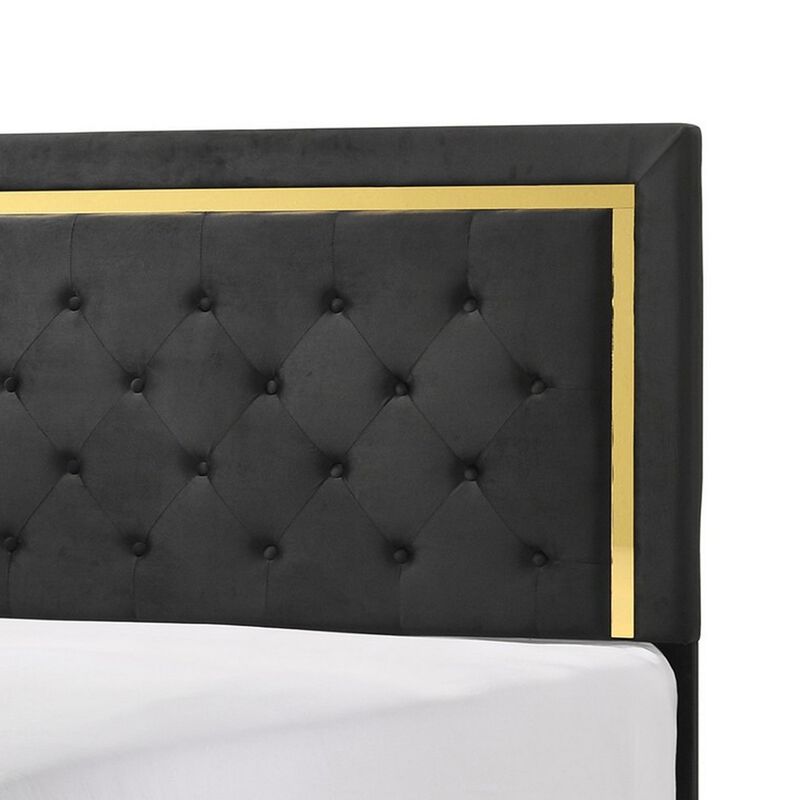 Robin Full Size Bed, Platform Base, Gold, Button Tufted Black Upholstery - Benzara