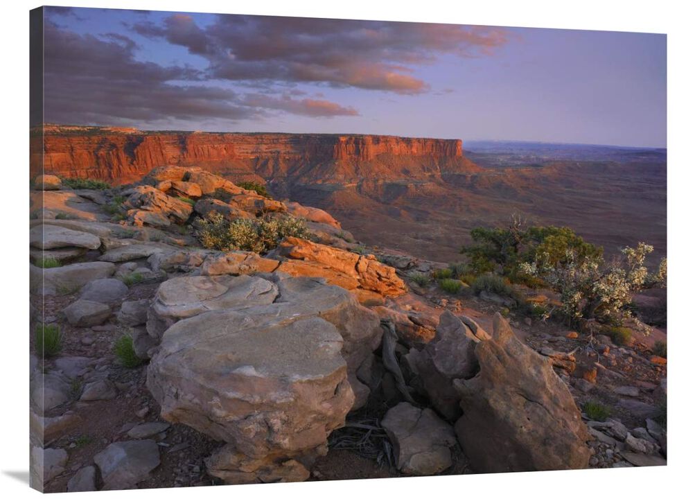 View from the Green River Overlook, Canyonlands National Park, Utah-Canvas Art-40x30