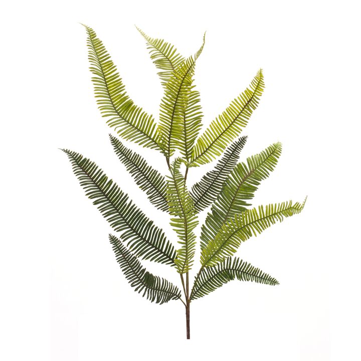 Variegated Fern Foliage Spray 39 Inches for Lush Home Décor and Floral Arrangements (Set of 6)