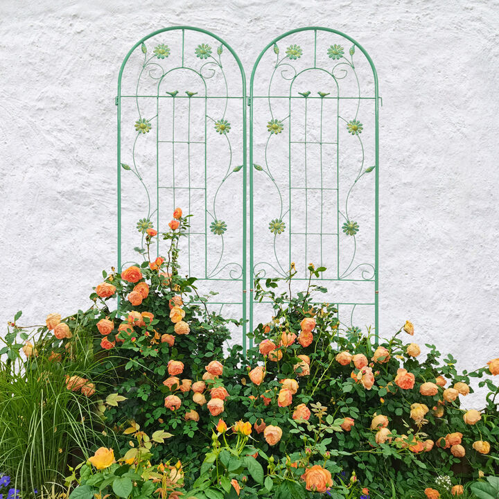 Streamdale Metal Garden Trellis for Climbing Plants-Flower Support