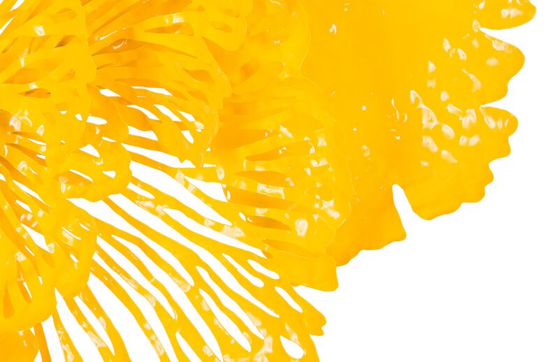 Flower Medium Wall Art