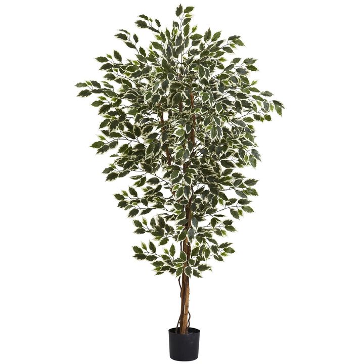 Nearly Natural 6-ft Hawaiian Ficus Tree x 3 w/1008 Lvs