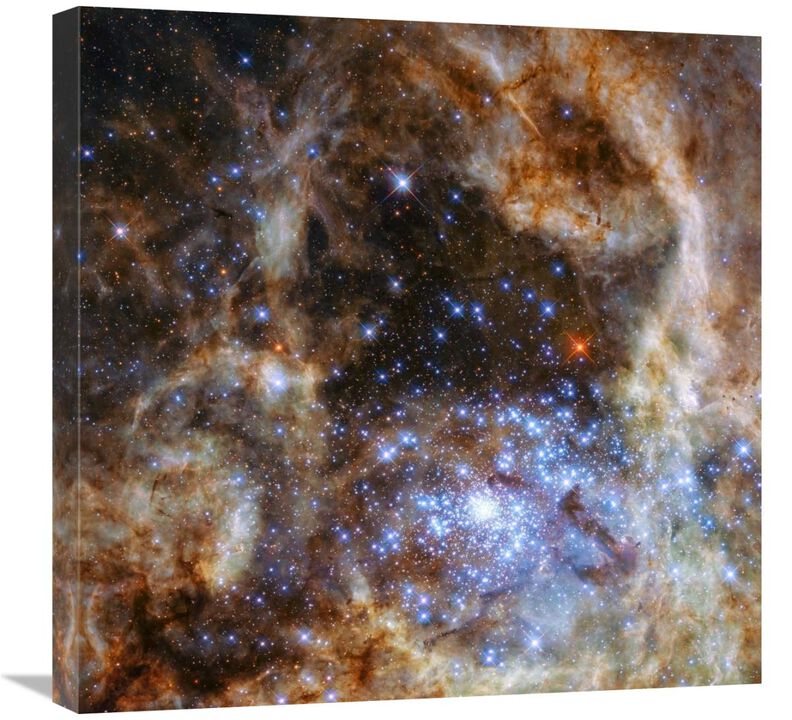 Star Cluster R136-Canvas Art-24x24