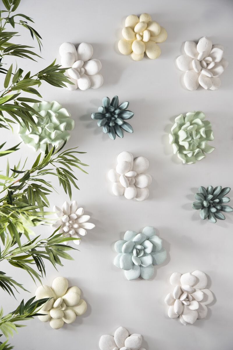Oviferum Succulent Wall Art in White