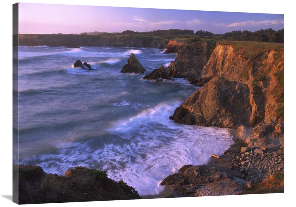 Beach at Jughandle State Reserve, Mendocino County, California-Canvas Art-40x30