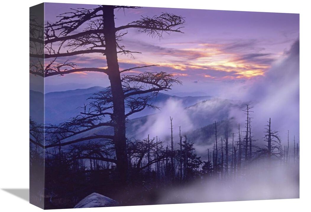Rolling fog on Clingmans Dome, Great Smoky Mountains National Park, Tennessee-Canvas Art-16x12