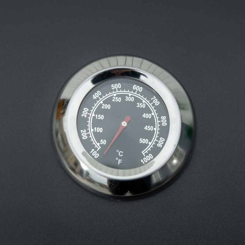 Streamdale 2-Burner Portable Propane Grill with Thermometer