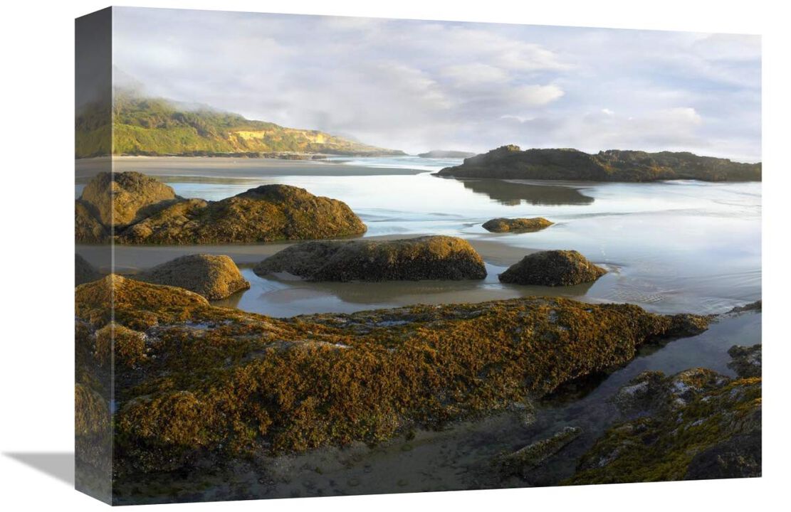 Seaweed covered rocks exposed at low tide, Neptune Beach, Oregon-Canvas Art-16x12