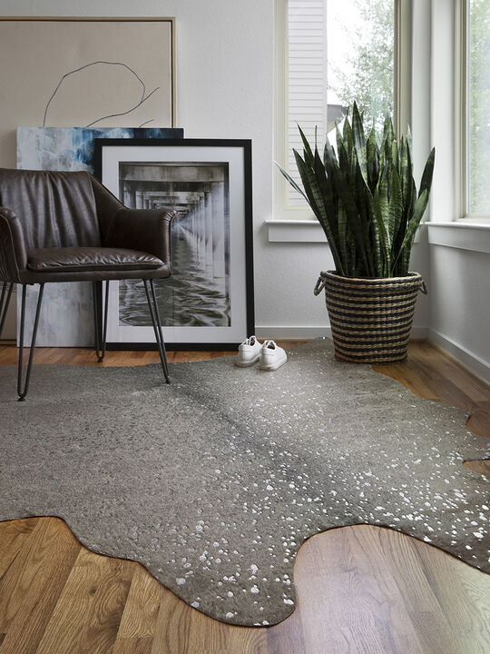 Bryce BZ03 Graphite/Silver 3'10" x 5' Rug
