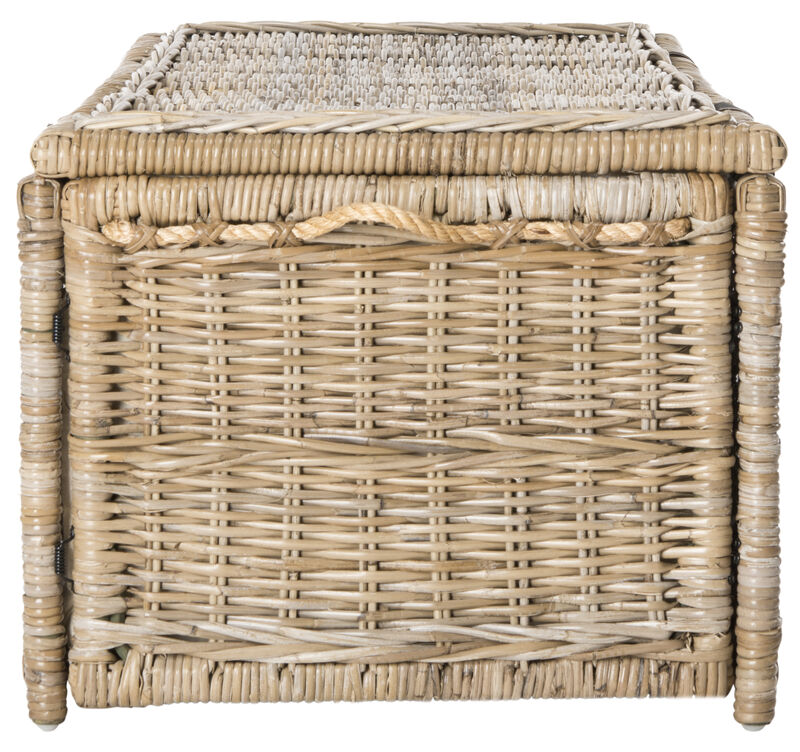 Caden Wicker Storage Trunk
