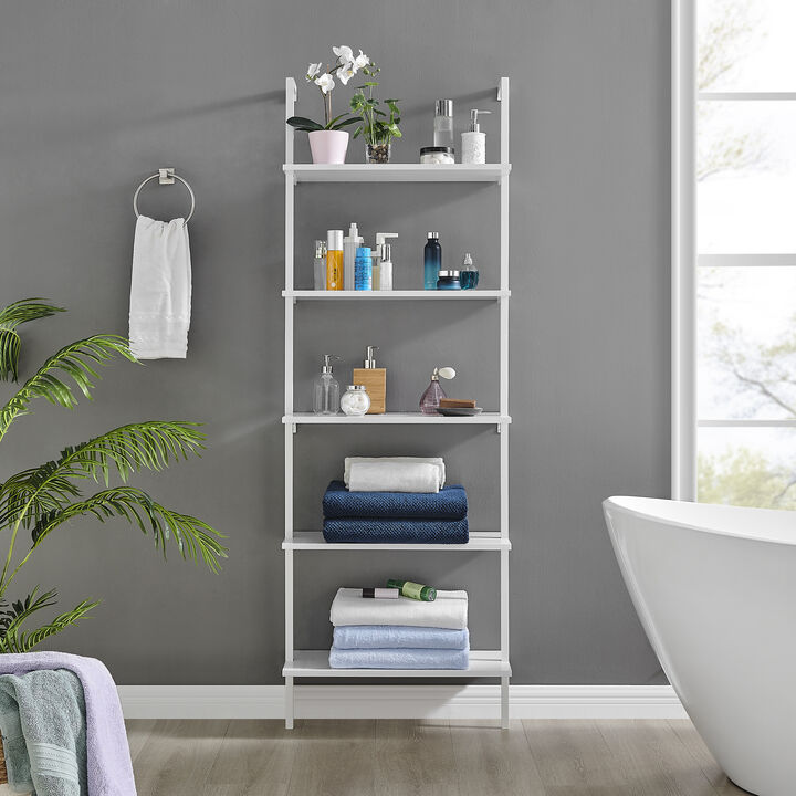 Everett 5-Tier Open Display Stand Wall Mount Modern Metal Frame Ladder Shelf