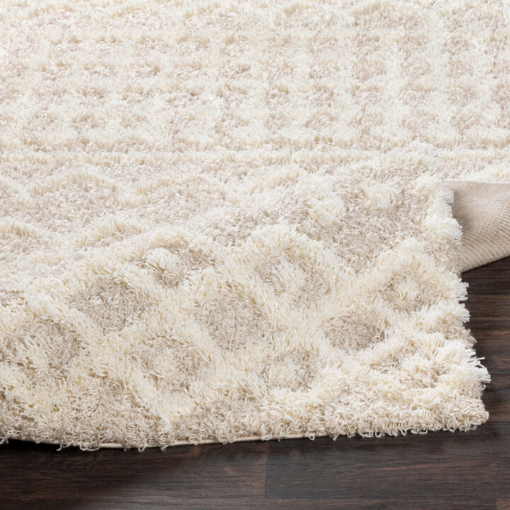Urban Shag USG-2303 10' x 14' Beige Rug