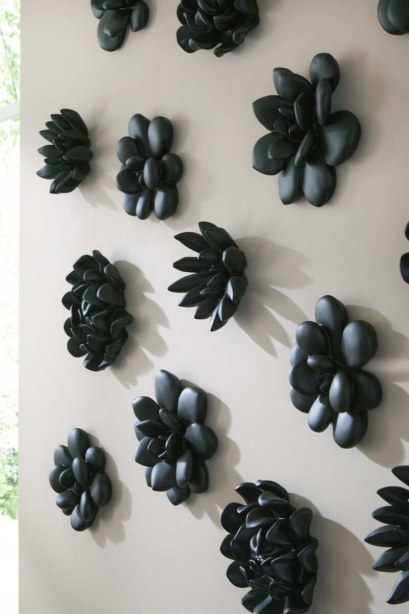Oviferum Succulent Wall Art in Matte Black