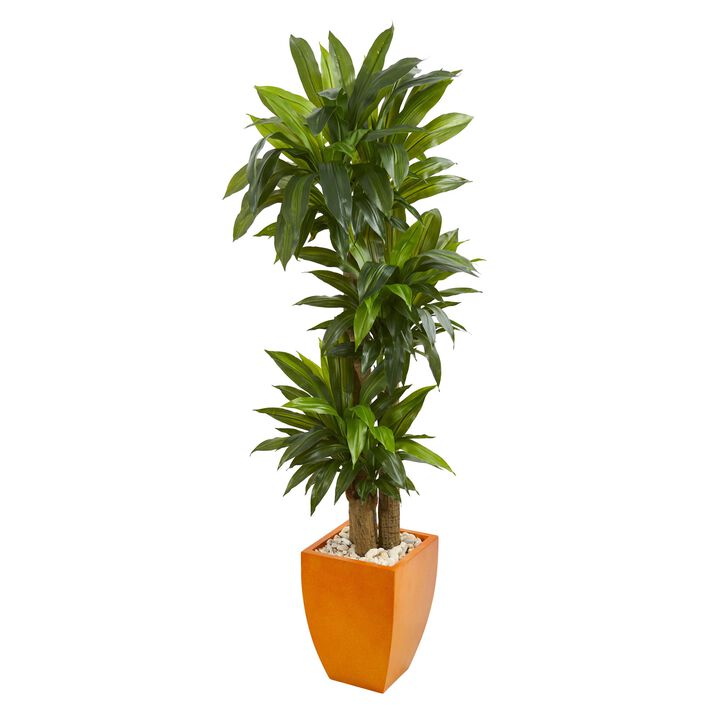 Hivvago 5.5" Dracaena Plant in Orange Square Planter (Real Touch)