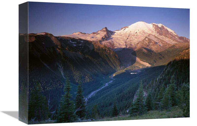 Mt Rainier seen at sunrise, Mt Rainier National Park, Washington-Canvas Art-16x12