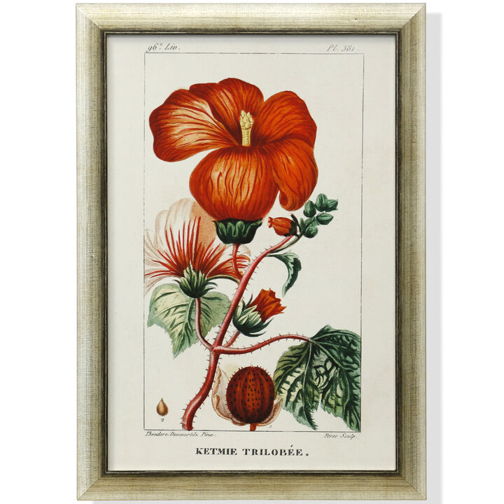 Framed Print Under Glass
