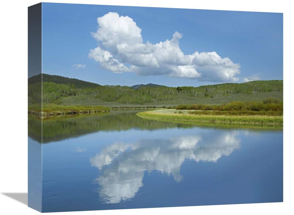 Cumulus clouds over Green River, Bridger-Teton National Forest, Wyoming-Canvas Art-16x13.28