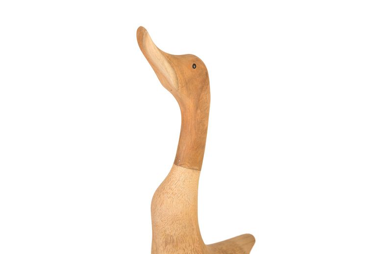 Wood Duck Set of 2