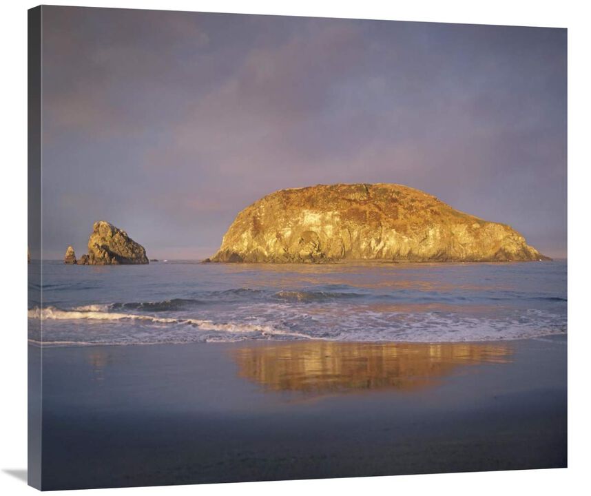 Island, Harris Beach State Park, Oregon-Canvas Art-36x32.04