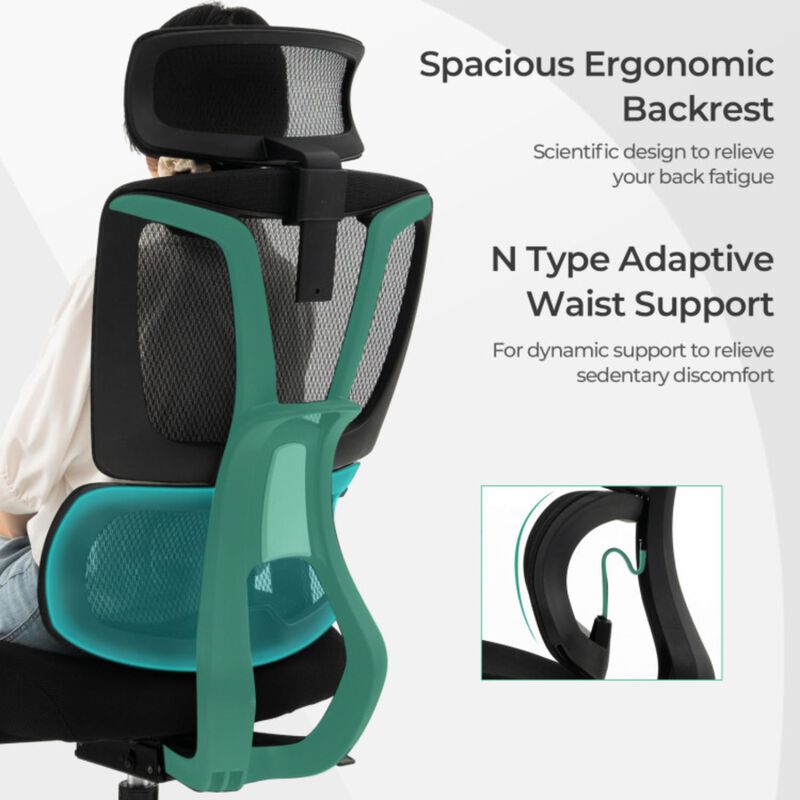 Hivvago Ergonomic Office Chair with N Type Lumbar Support and Adjustable Headrest