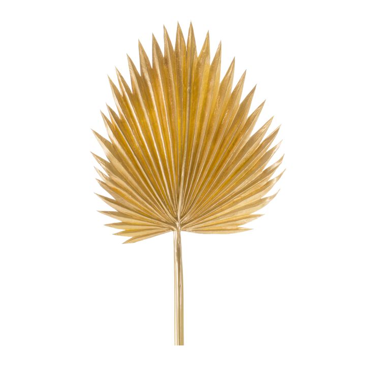 Fan Palm Leaf Set of 6 for Luxe, Exotic Decor and Party Styling